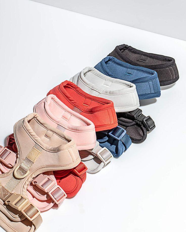 Pet Harness